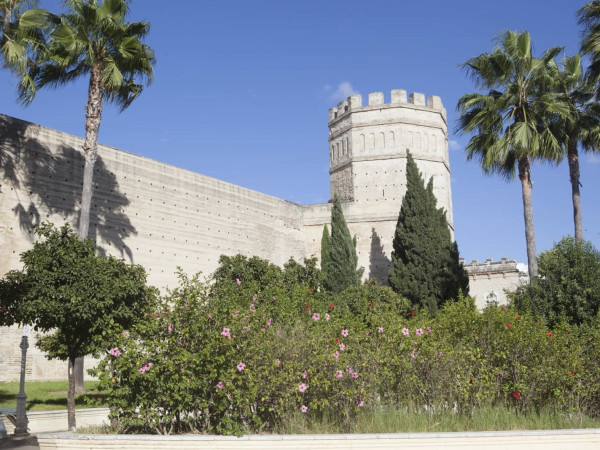 Jerez Film Office