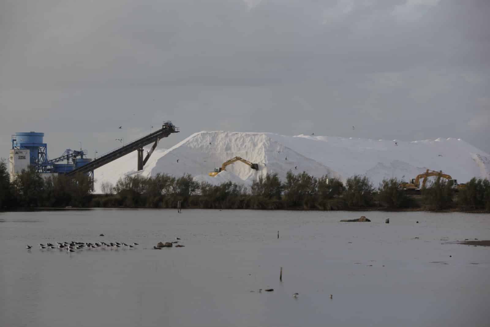 HU_Huelva_Marismas del Odiel_14