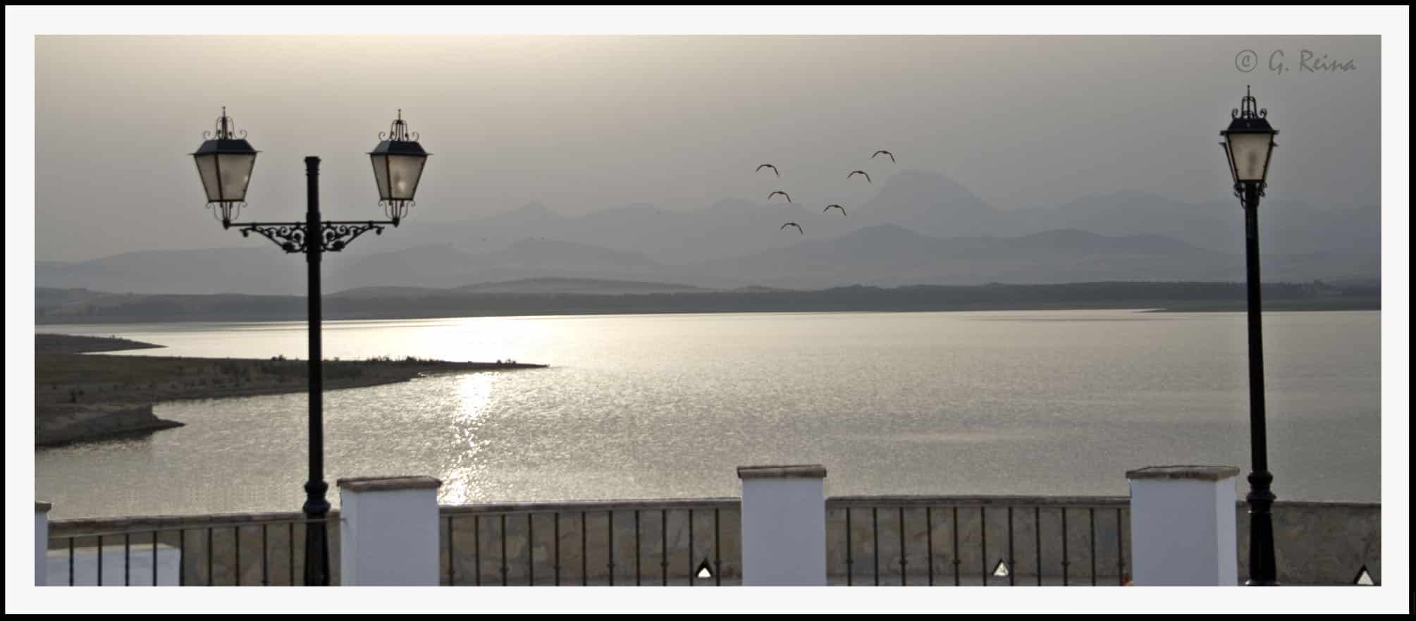 amanecer-en-el-pantano_1337496246_o