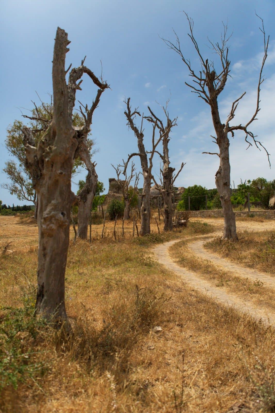 CA_Barbate_Ermita_San_Ambrosio (9 de 9)