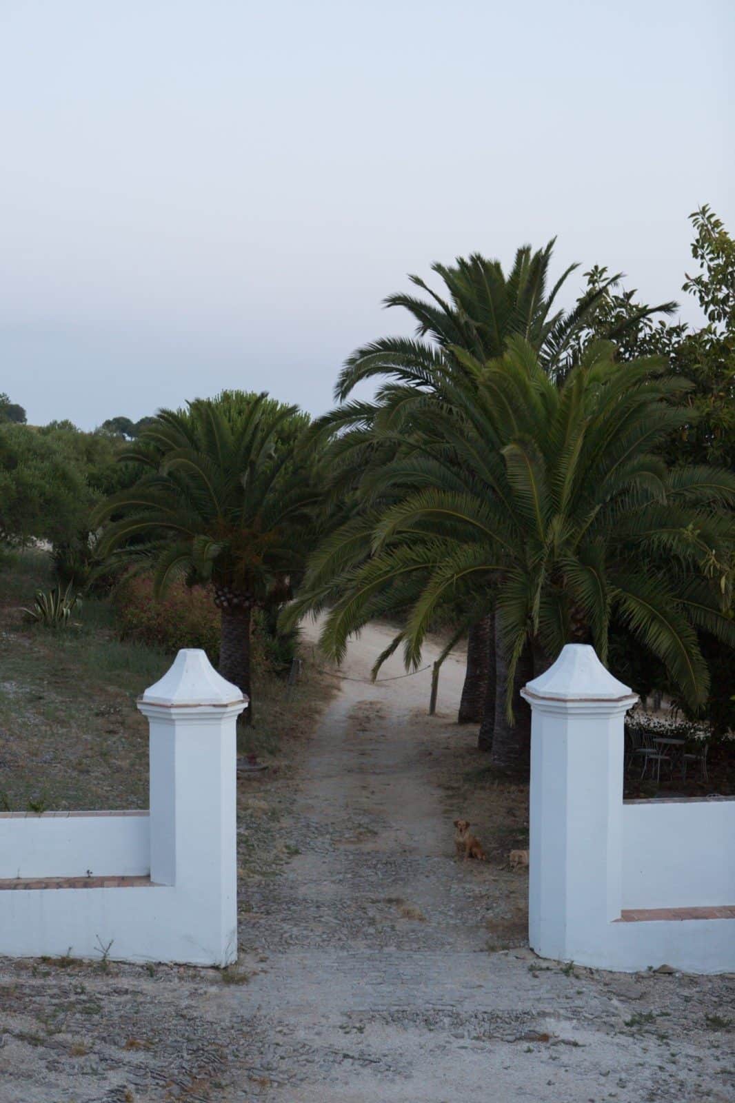 CA_Barbate_Hotel_Palomar_Brena (1 de 12)