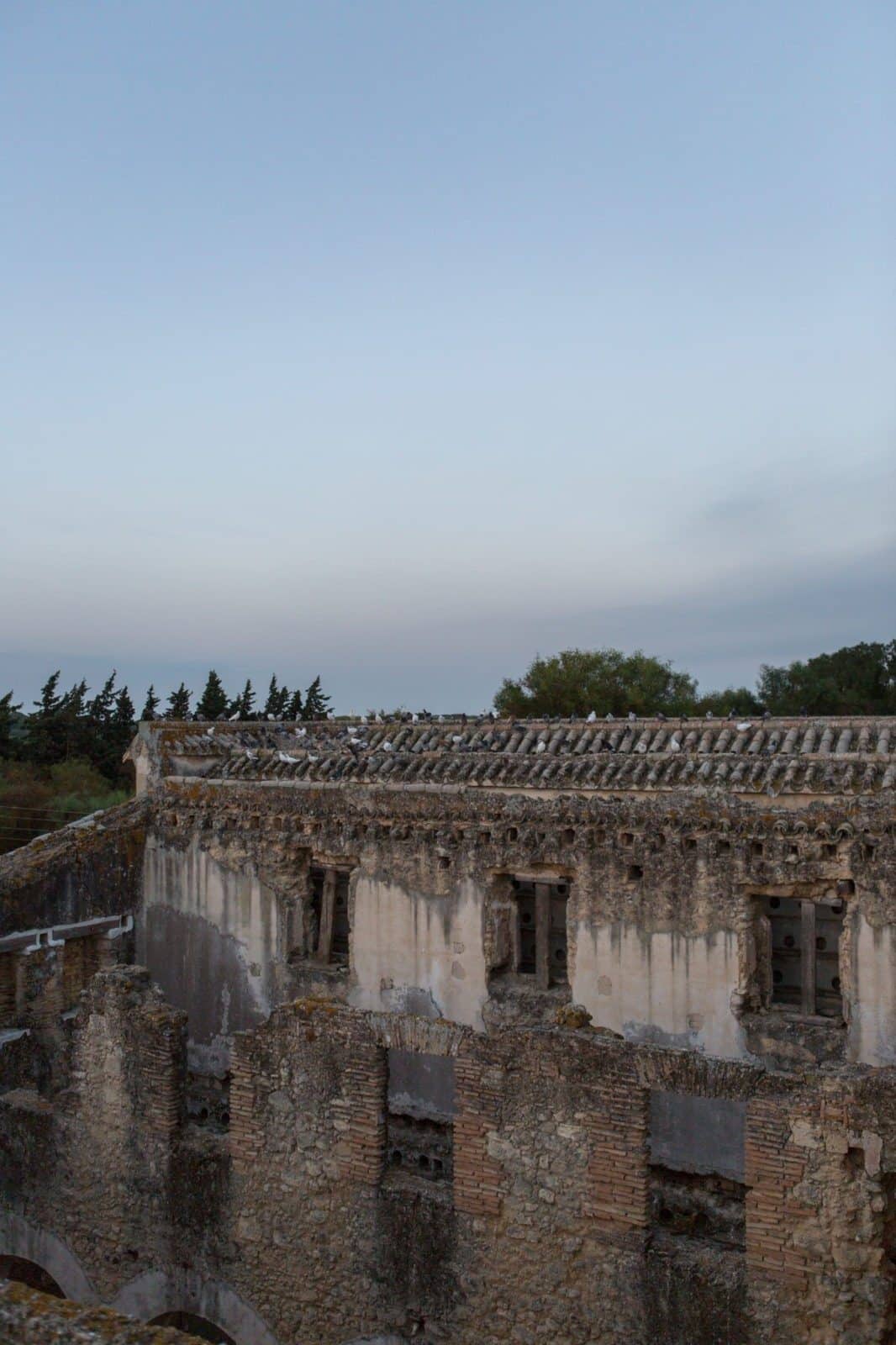 CA_Barbate_Hotel_Palomar_Brena (4 de 12)