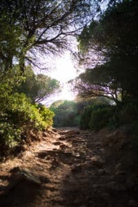 CA_Bolonia_Betijuelo (1 de 7)