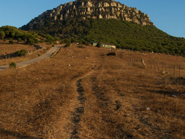 Cerro de San Bartolo