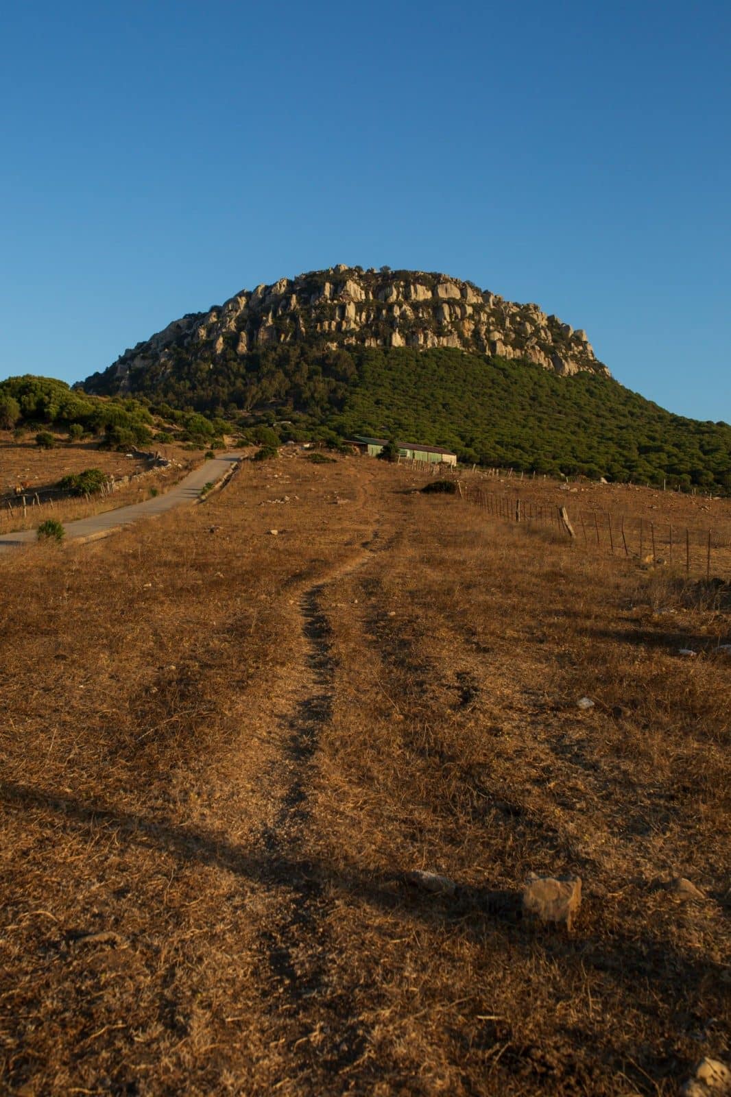 CA_Bolonia_Cerro_de_Bartolo (1 de 3)