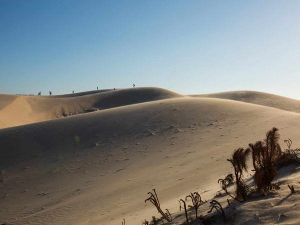 Dunas de Bolonia