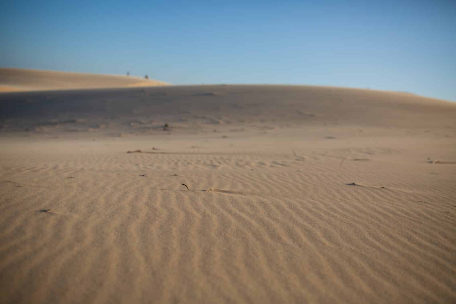 CA_Bolonia_Duna_de_Bolonia (3 de 4)