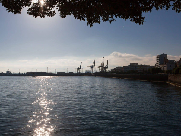 Jardines de Alameda Apodaca