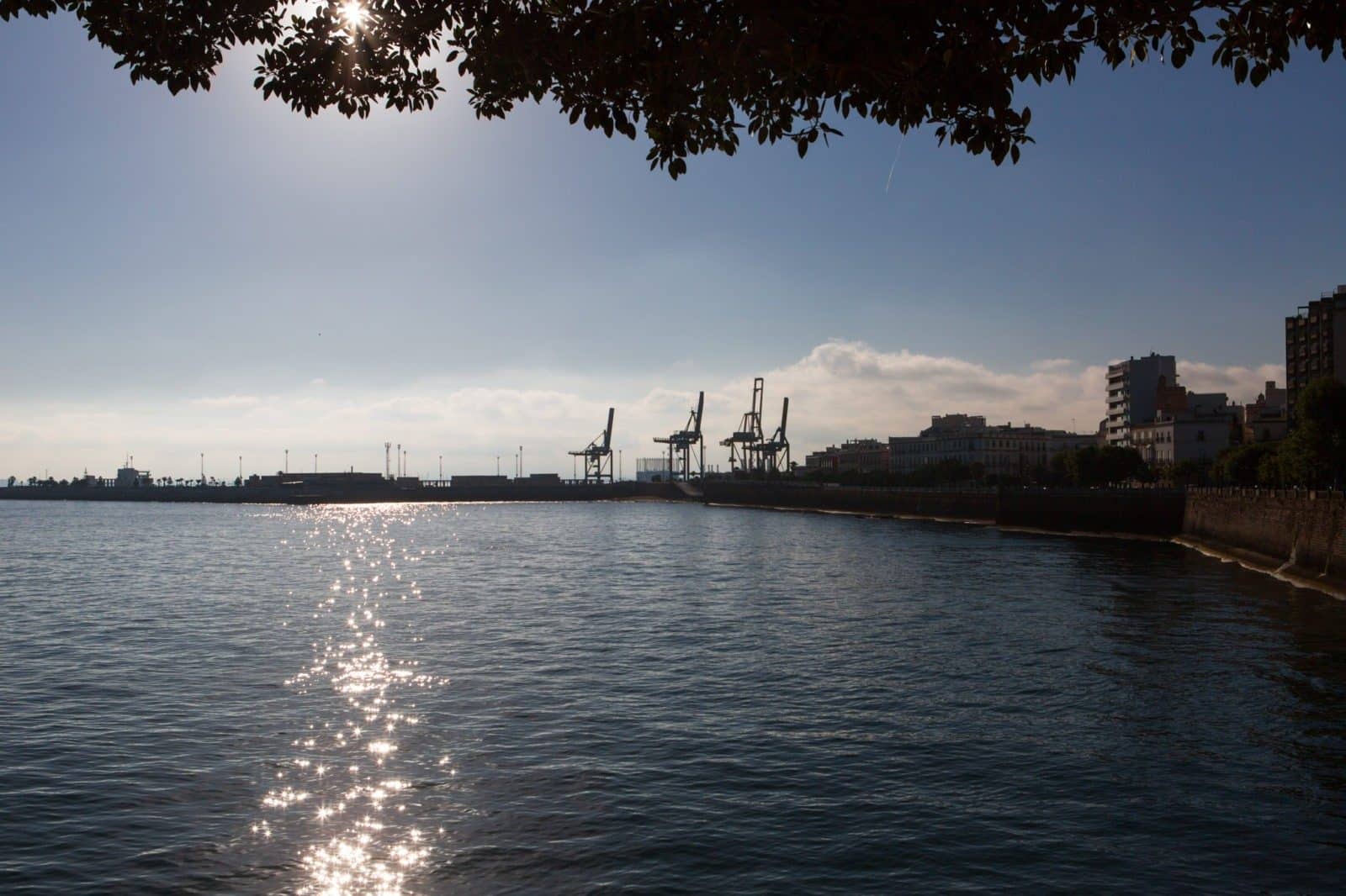 CA_Cadiz_Jardines_Alameda_Apodaca (1 de 4)