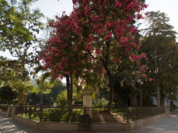 Plazas de Mina y San Antonio