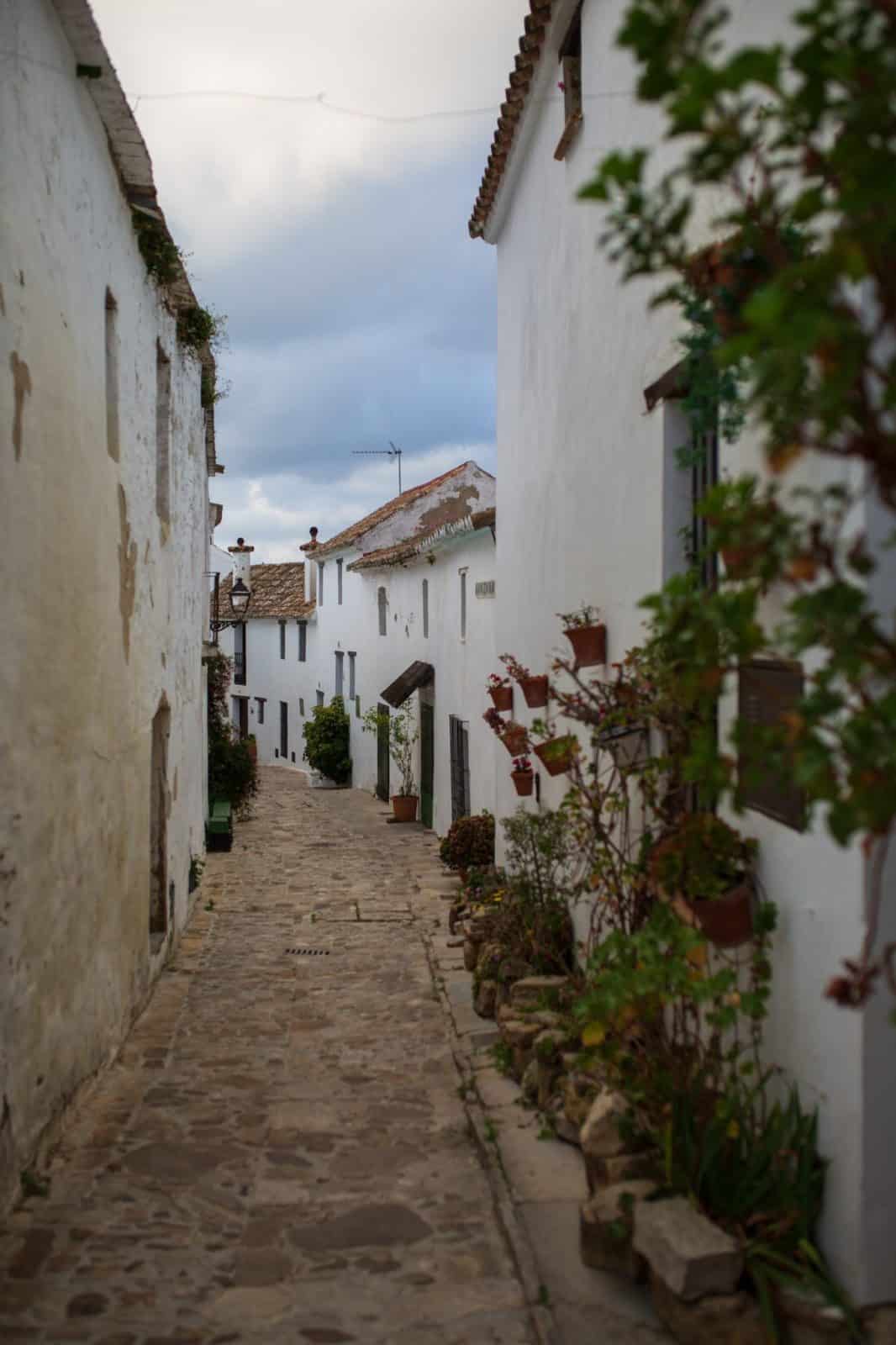 CA_Castellar_Fra_Fortaleza (12 de 32)