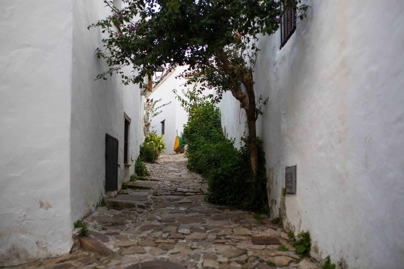 CA_Castellar_Fra_Fortaleza (20 de 32)