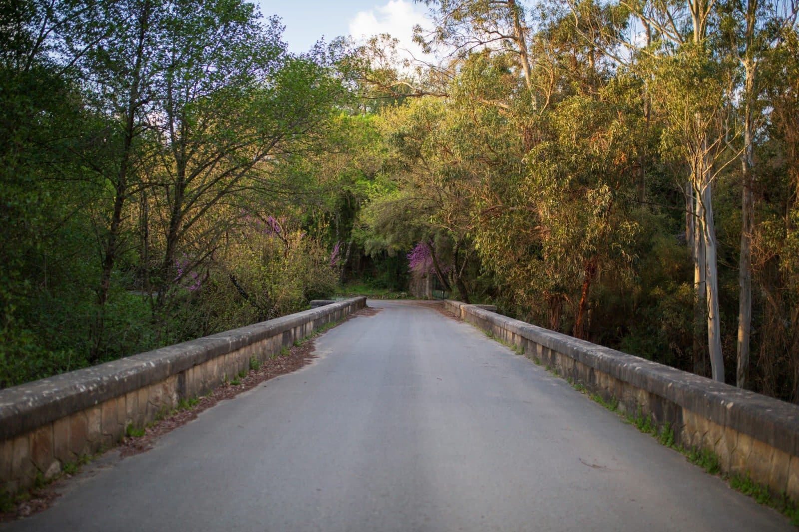 CA_Castellar_Fra_Rio_Guadarranque (1 de 1)