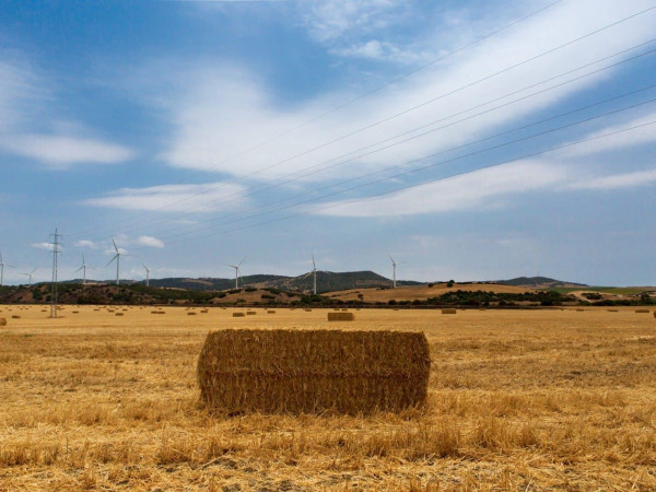 Río Salado