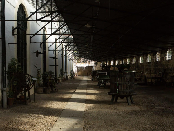 Bodegas Tio Pepe