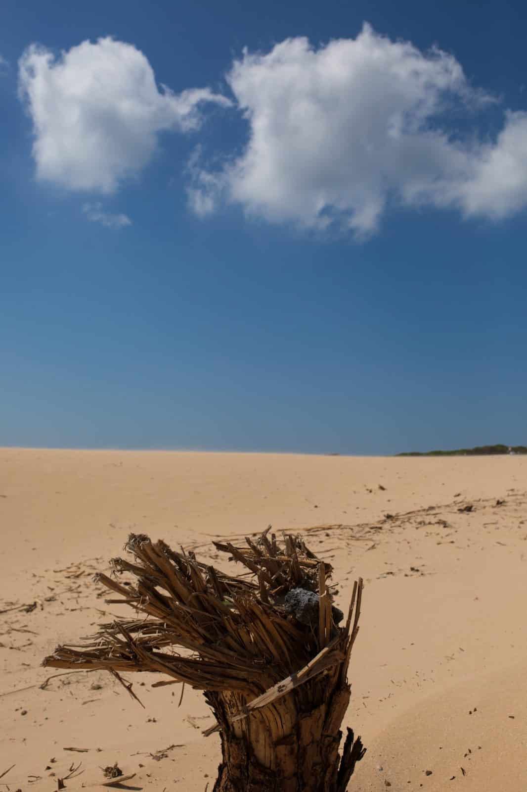 CA_Tarifa_Duna_Valdevaqueros (10 de 12)