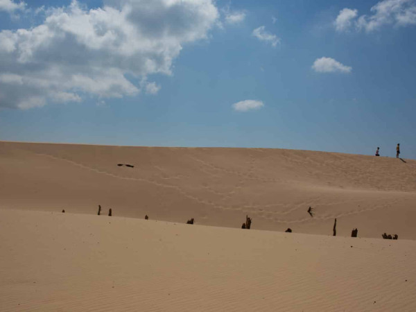 Duna de Valdevaqueros