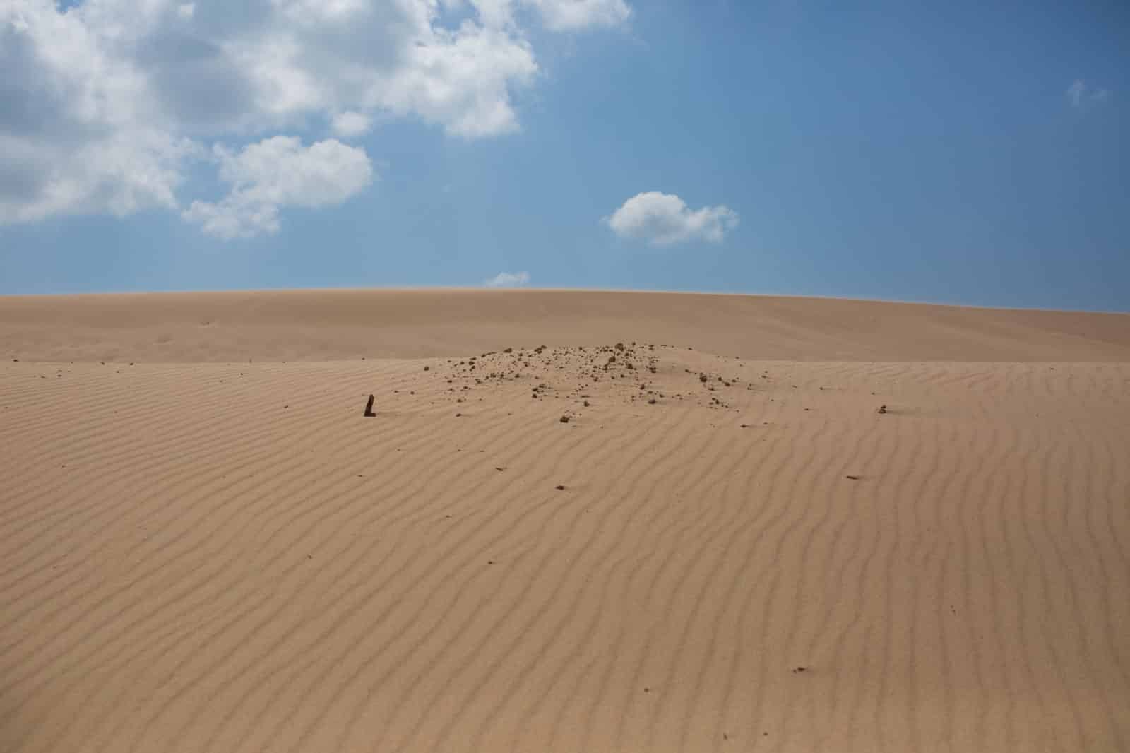 CA_Tarifa_Duna_Valdevaqueros (4 de 12)