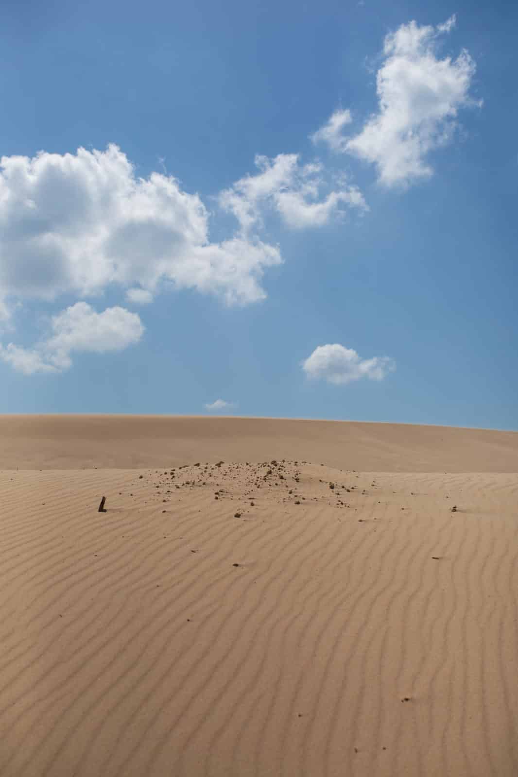 CA_Tarifa_Duna_Valdevaqueros (5 de 12)