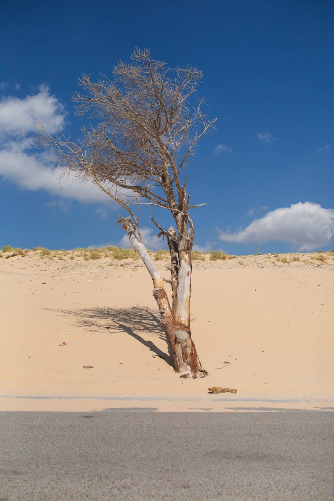 CA_Tarifa_Duna_Valdevaqueros (6 de 12)