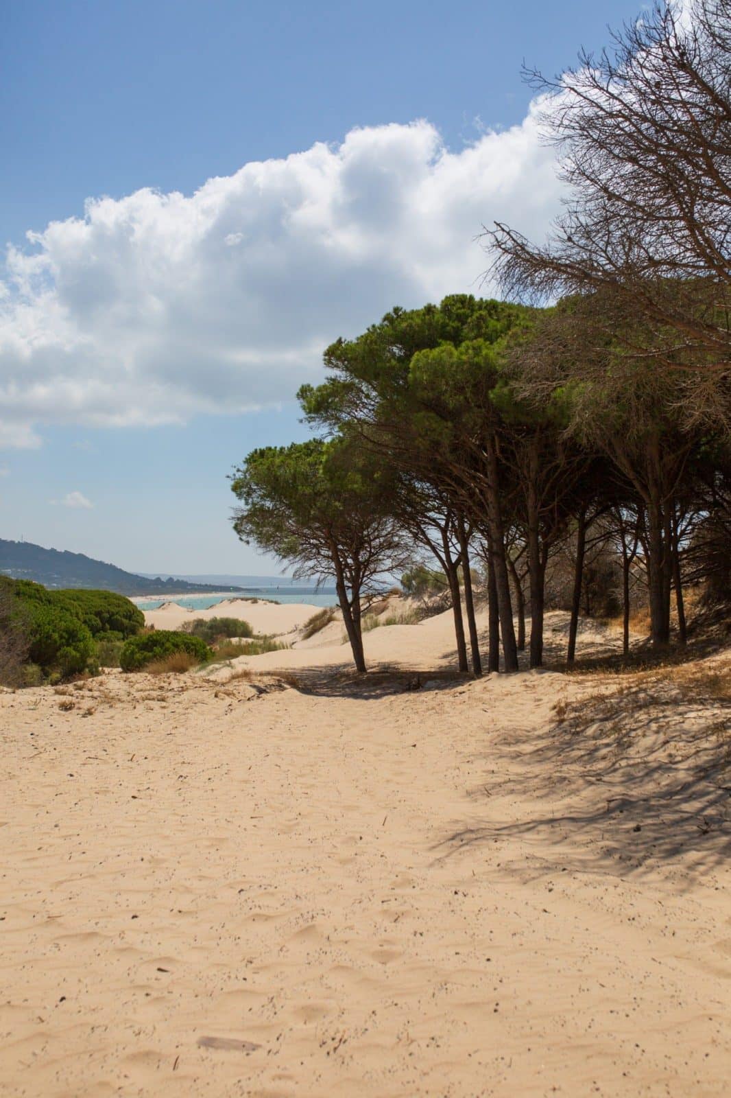 CA_Tarifa_Playa_Valdevaqueros (2 de 2)
