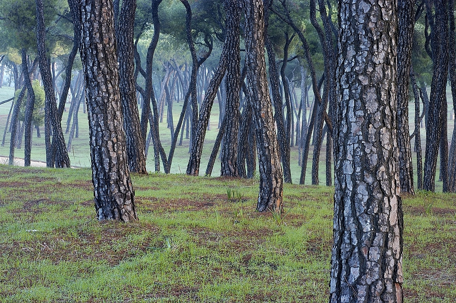 DiegoLopez-Alcala002