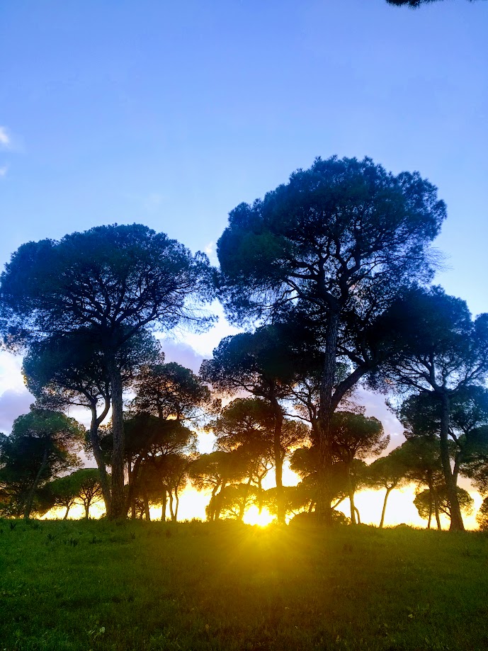 IMG_20220114_181521-EFFECTS