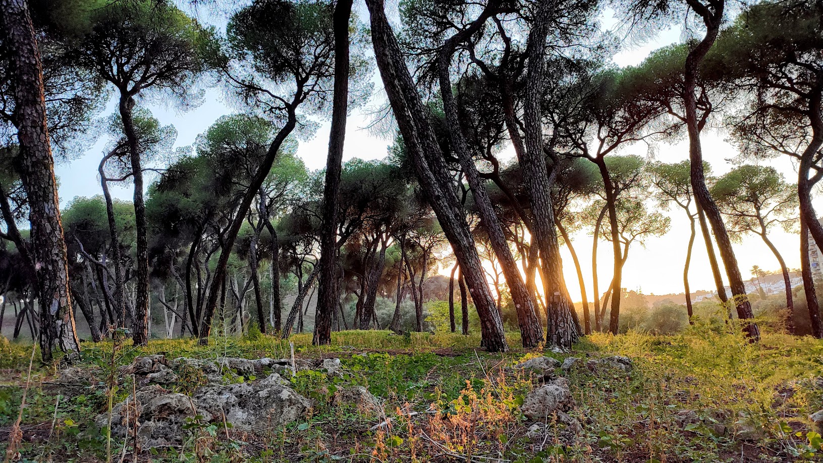 IMG_20230914_201511-EDIT