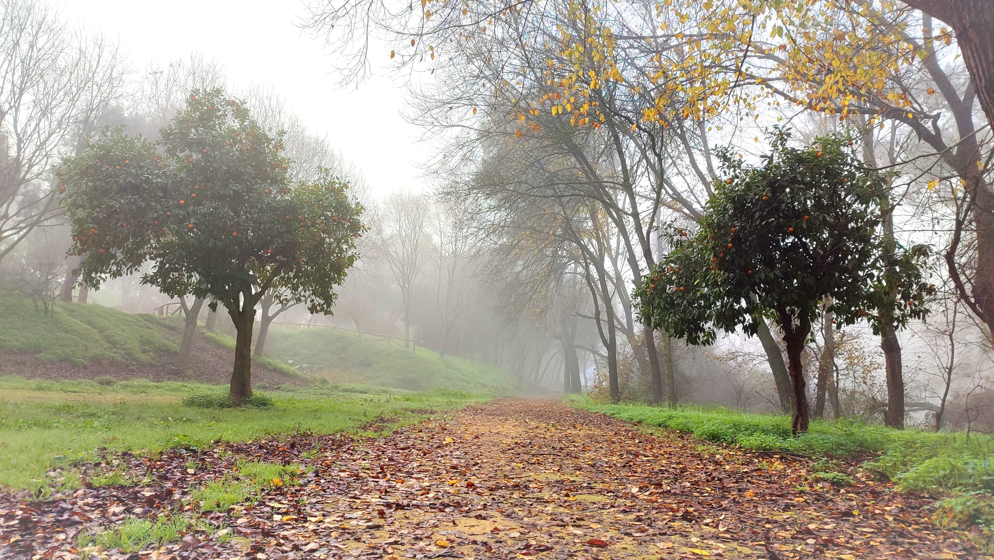 e4980f3e-bbae-4022-9a0e-67767823a1bb