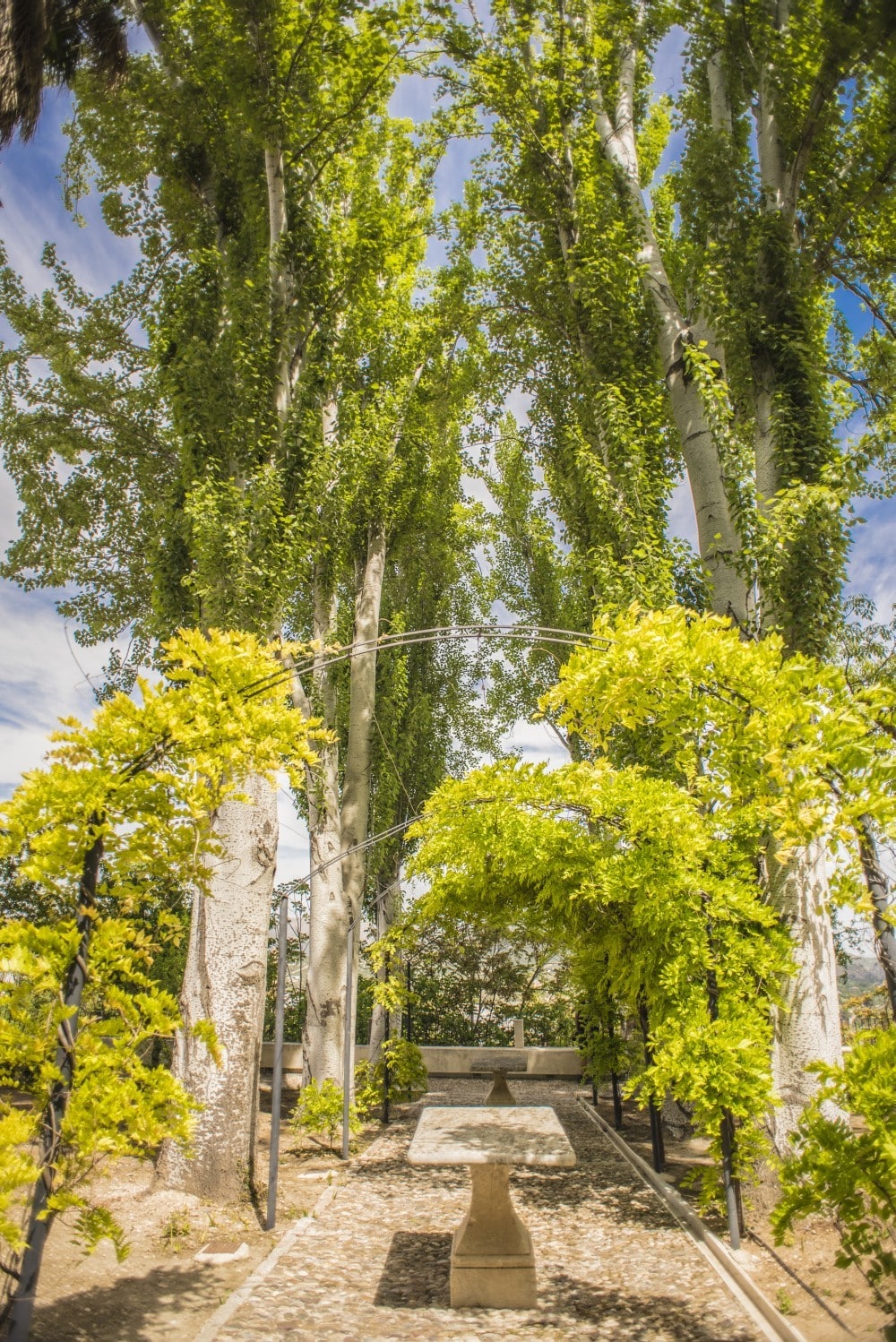 Huerto de las Infantas de Priego de Cordoba 2