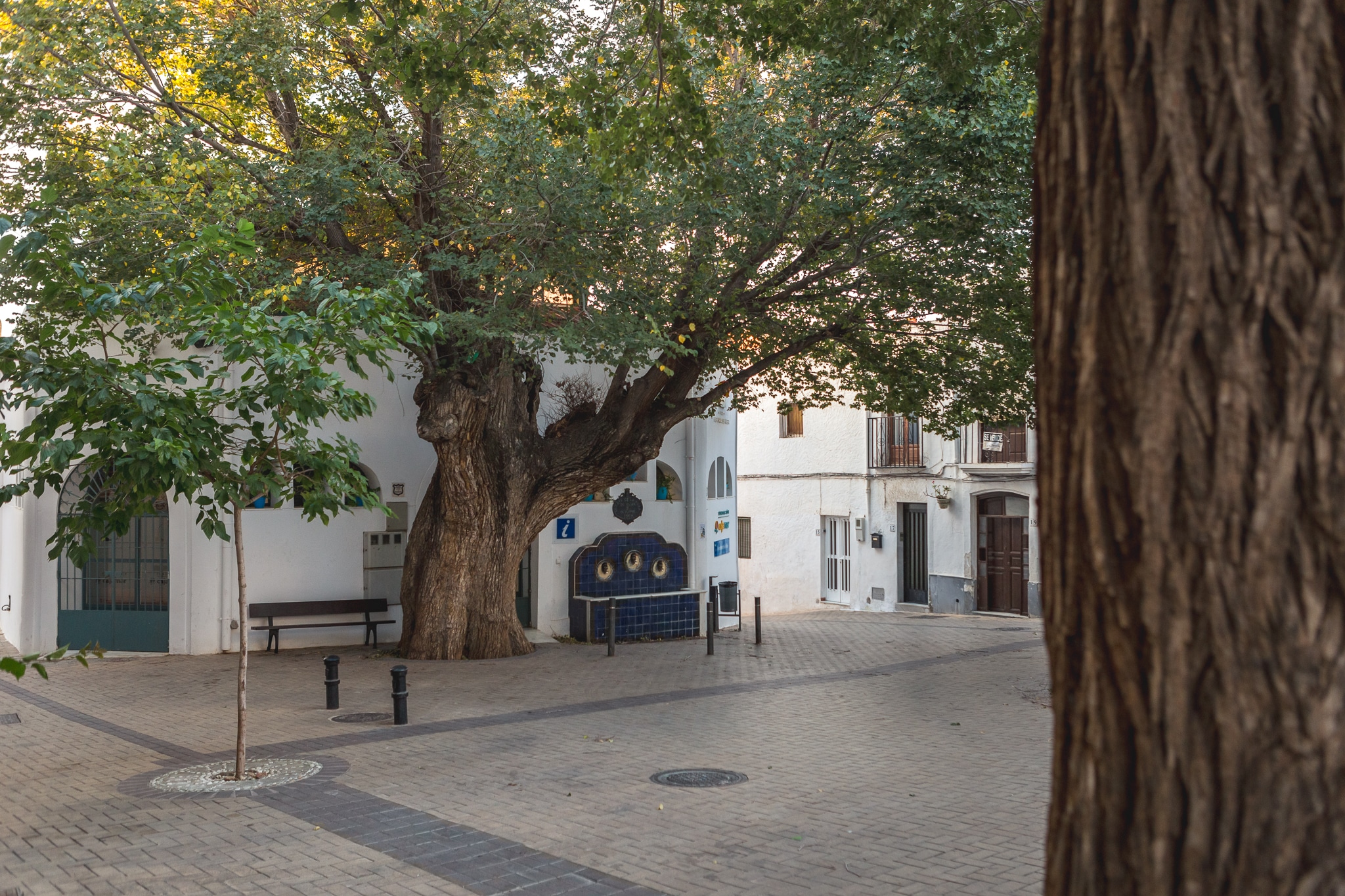 AL_Nijar_Casco_Antiguo (7 de 21)