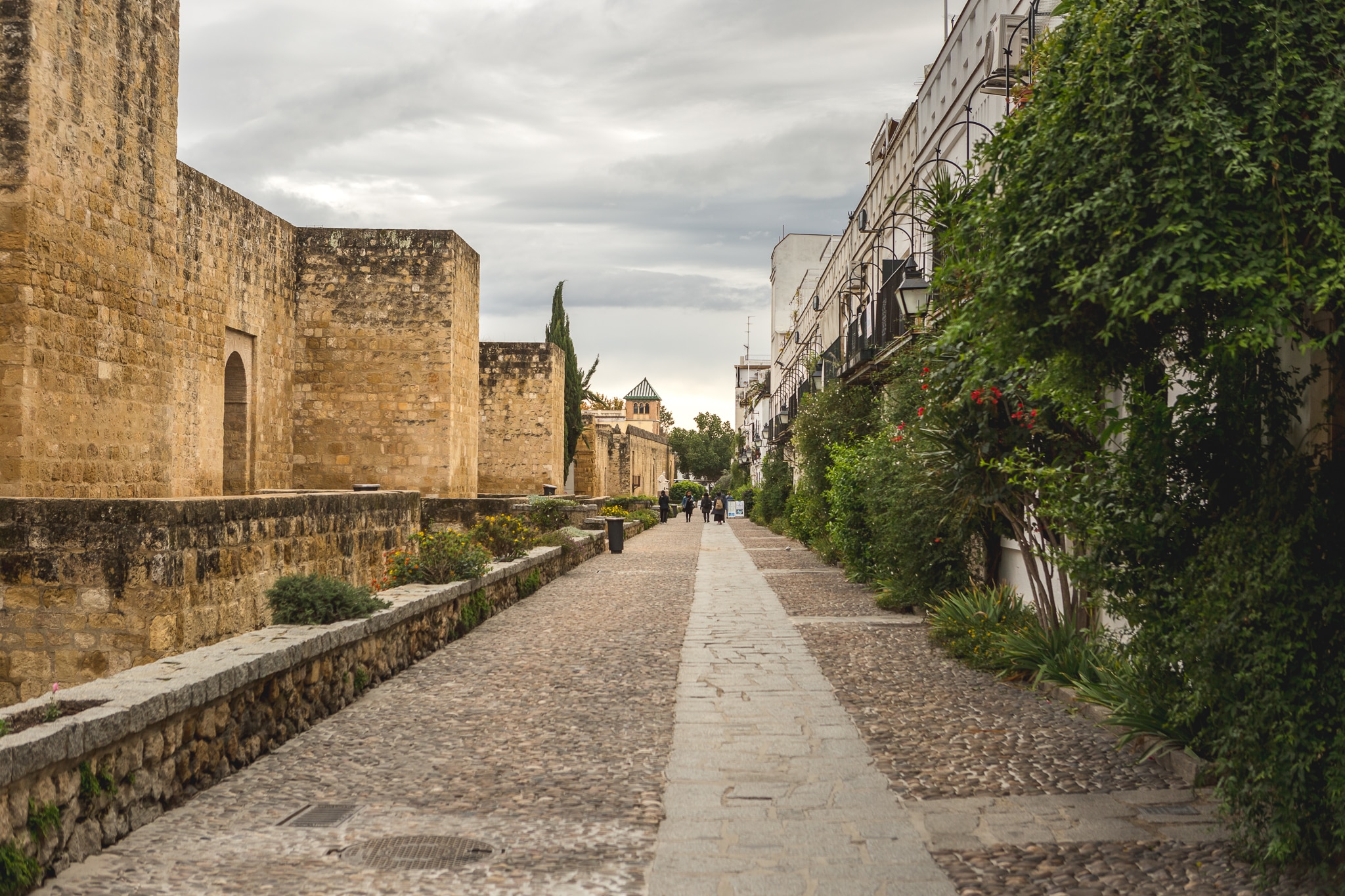 CO_Cordoba_calle_Cairuan (7 de 9)