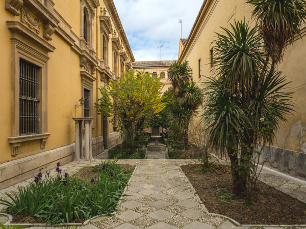 Facultad de Derecho