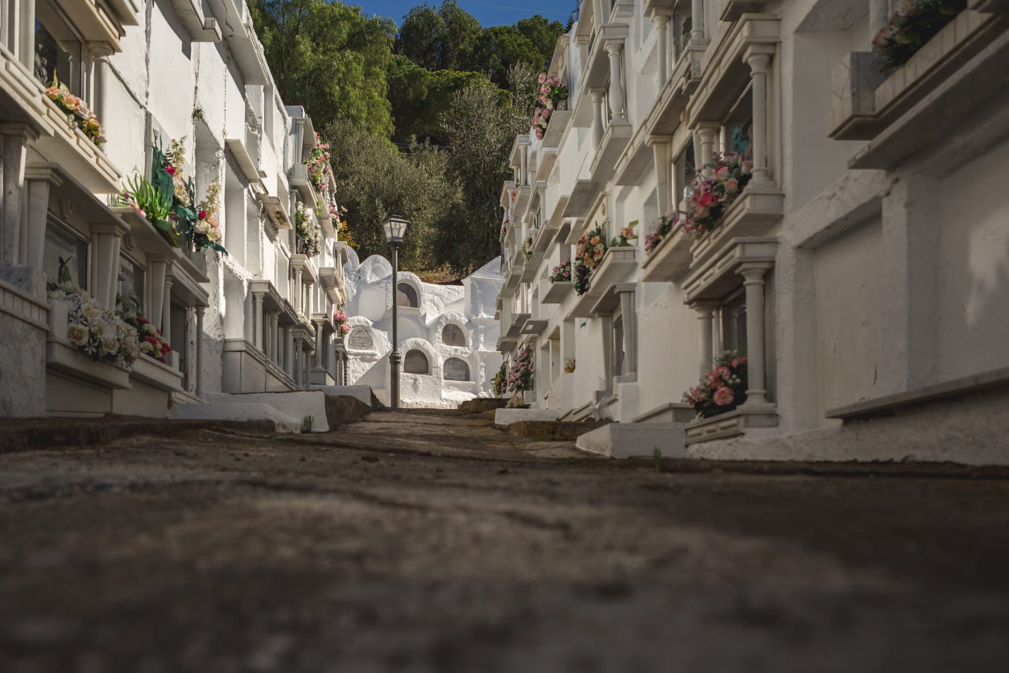 MA_Sayalonga_Cementerio_Circular (7 de 9)