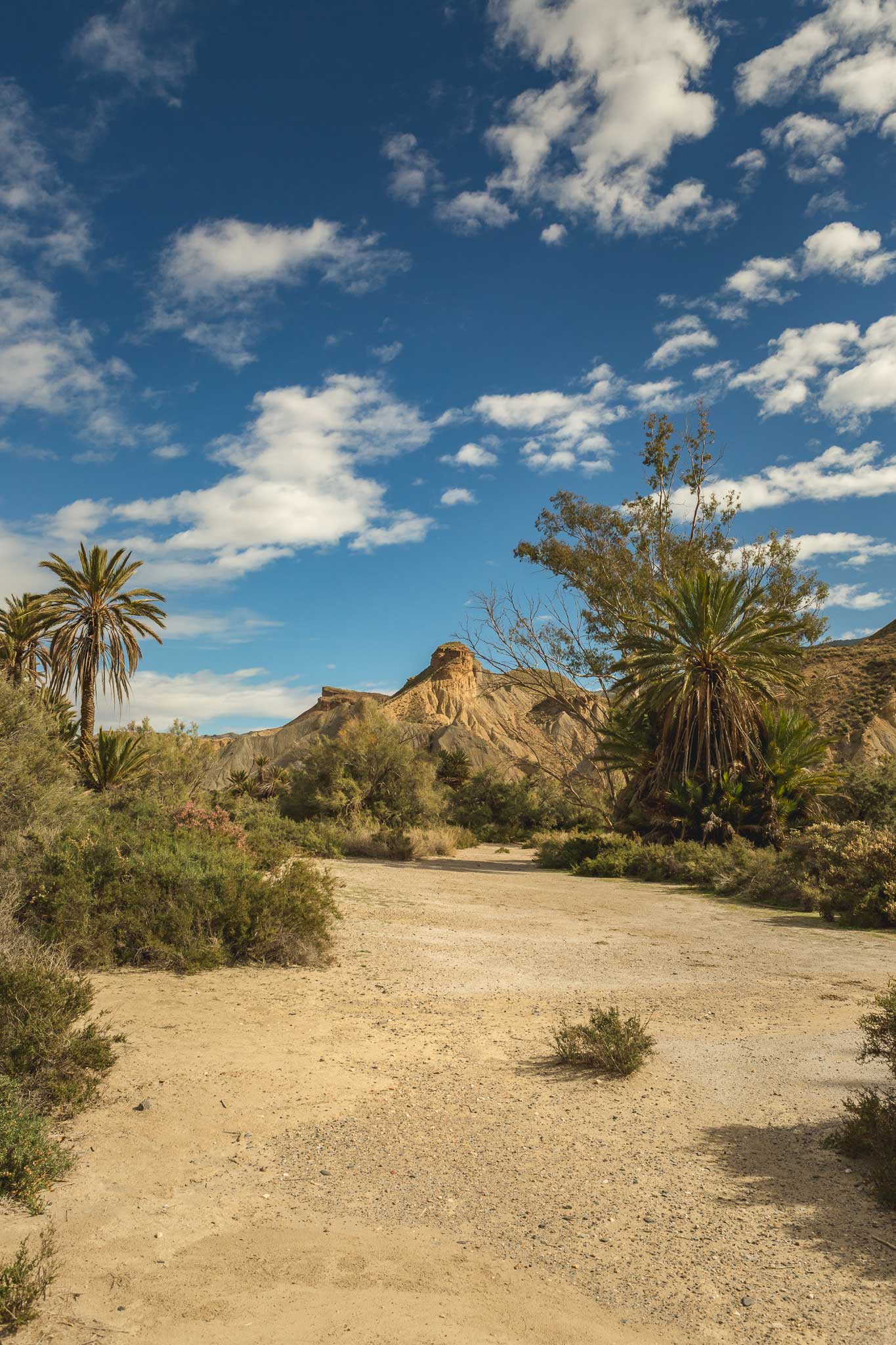 AL_Oasis_Lawrence_de_Arabia