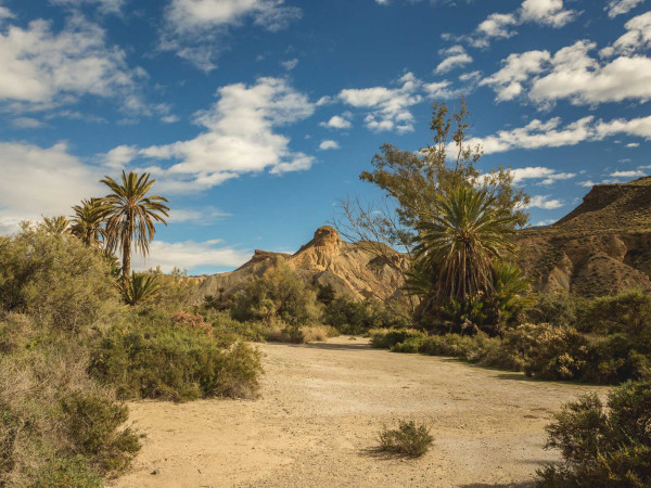 Oasis de Lawrence de Arabia