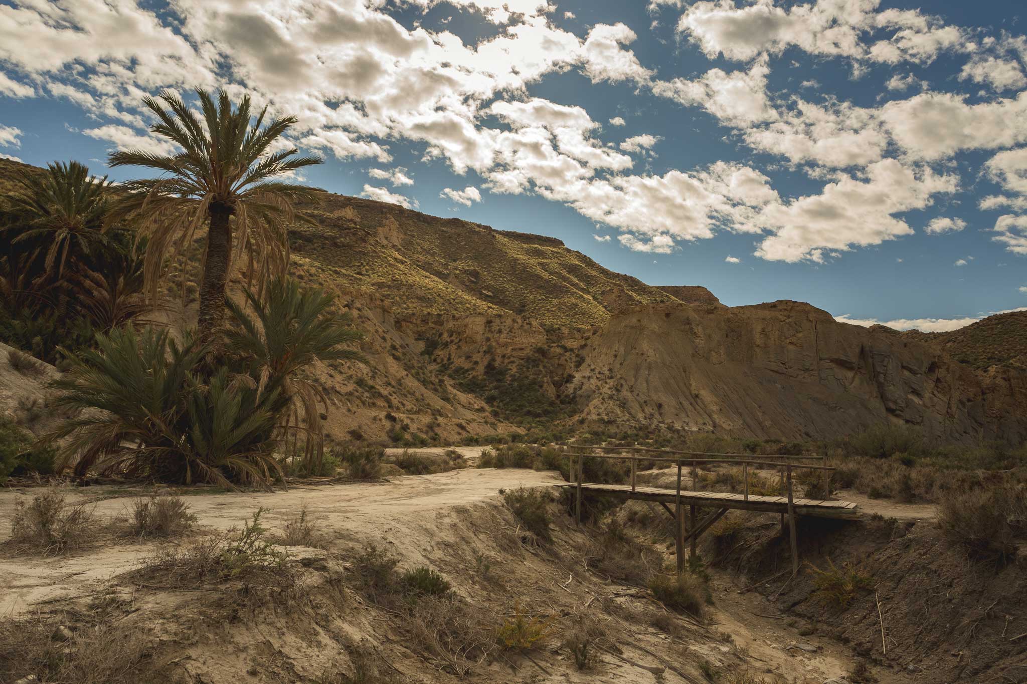 AL_Oasis_Lawrence_de_Arabia_4