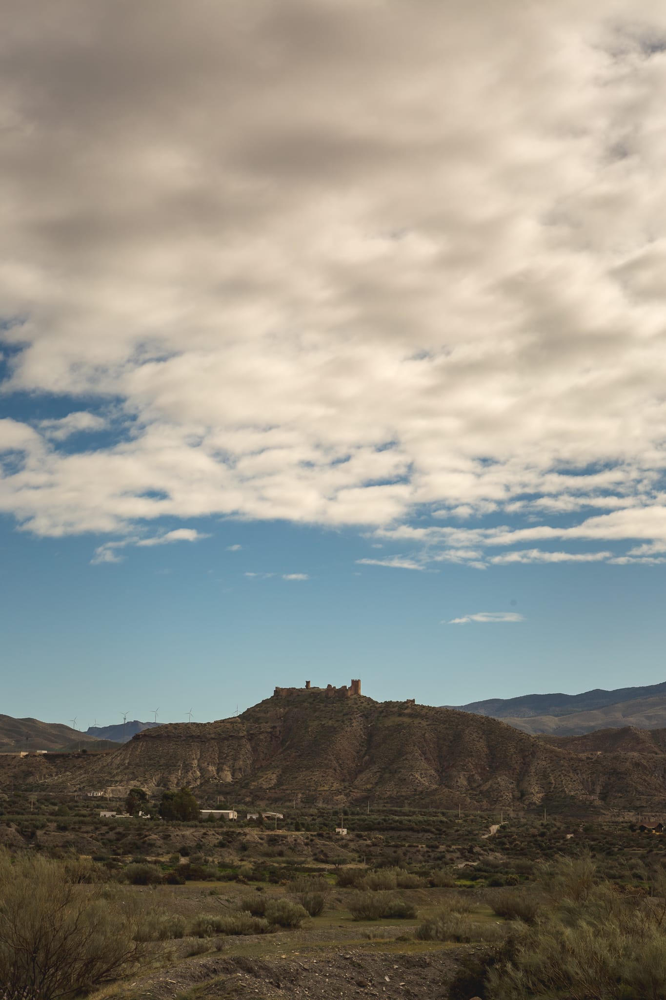 AL_Tabernas_Llanos_del_Buho (2 de 5)