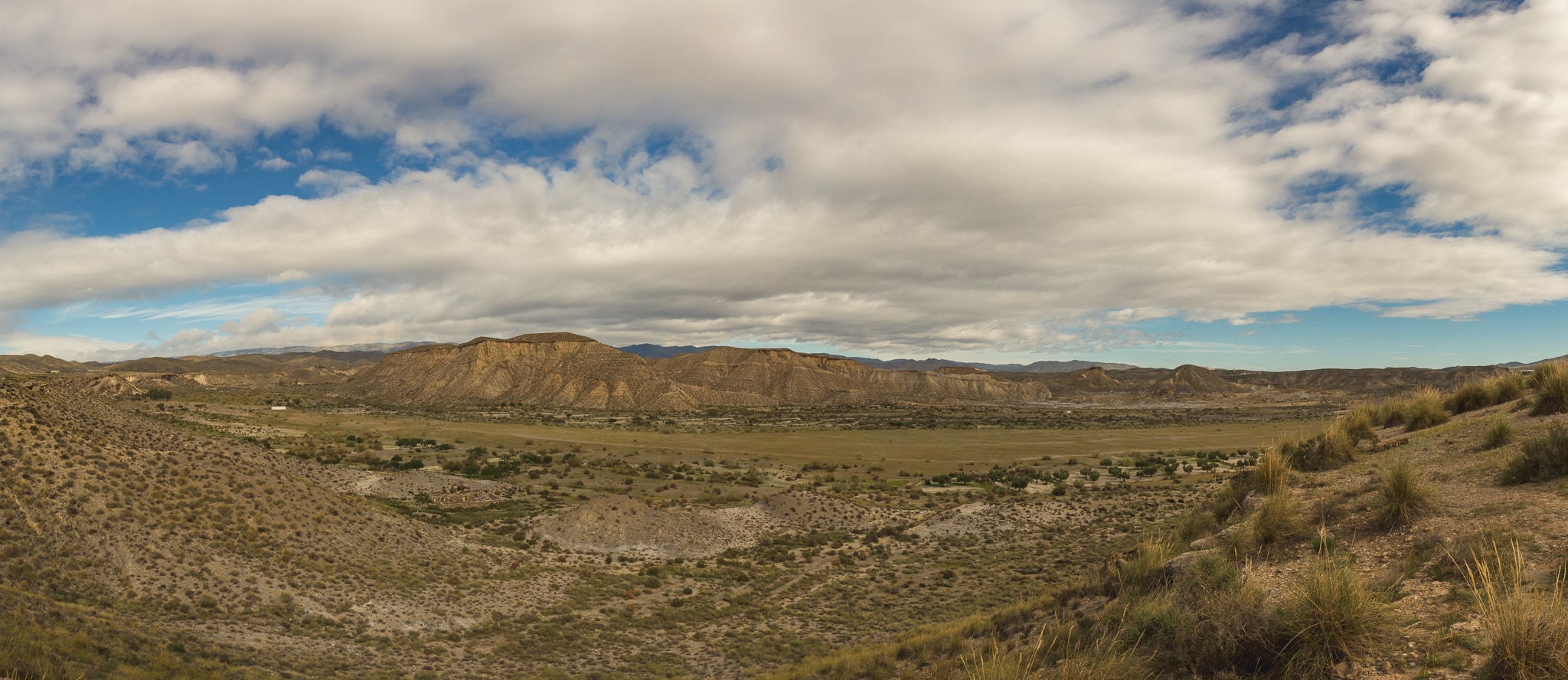 AL_Tabernas_Llanos_del_Buho (4 de 5)