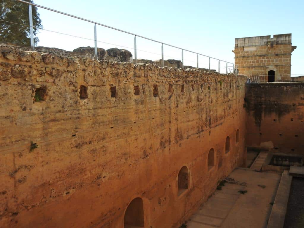 341259624_1279418419311922_4513698433919704569_n