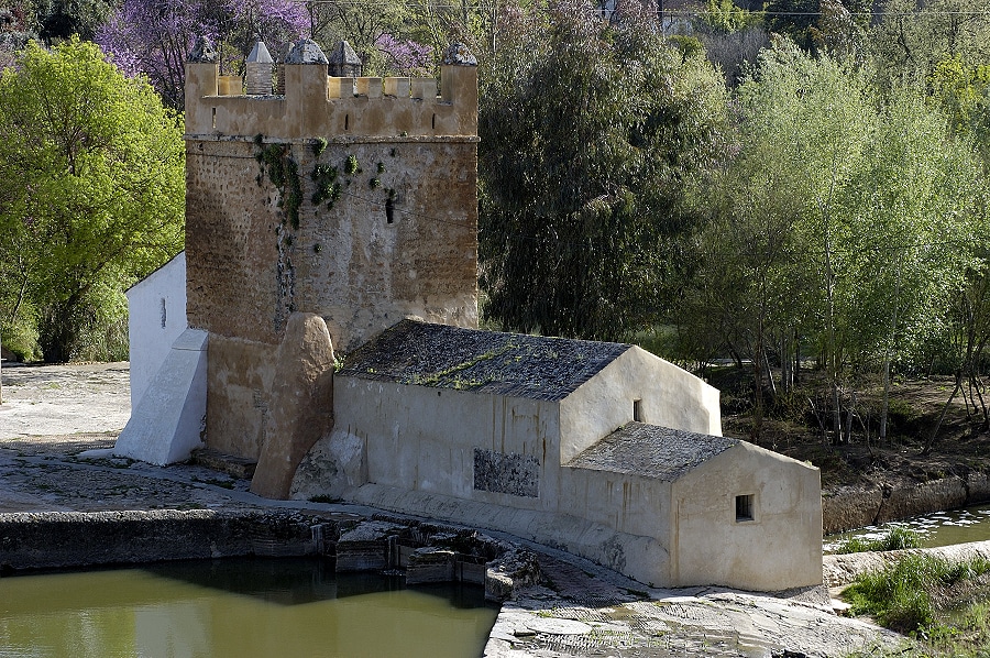 DiegoLopez-Alcala025