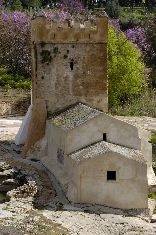 DiegoLopez-Alcala104