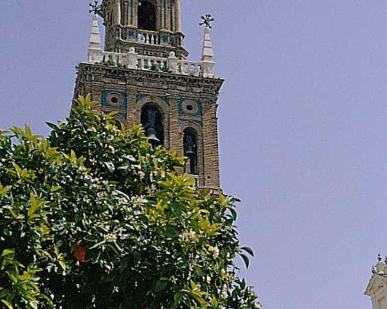 Iglesia de San Pedro