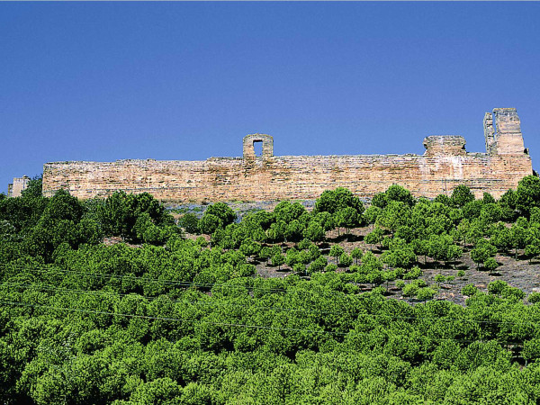 Alcázar del Rey Don Pedro