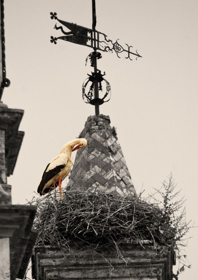 399030_412452902098385_1007369666_n