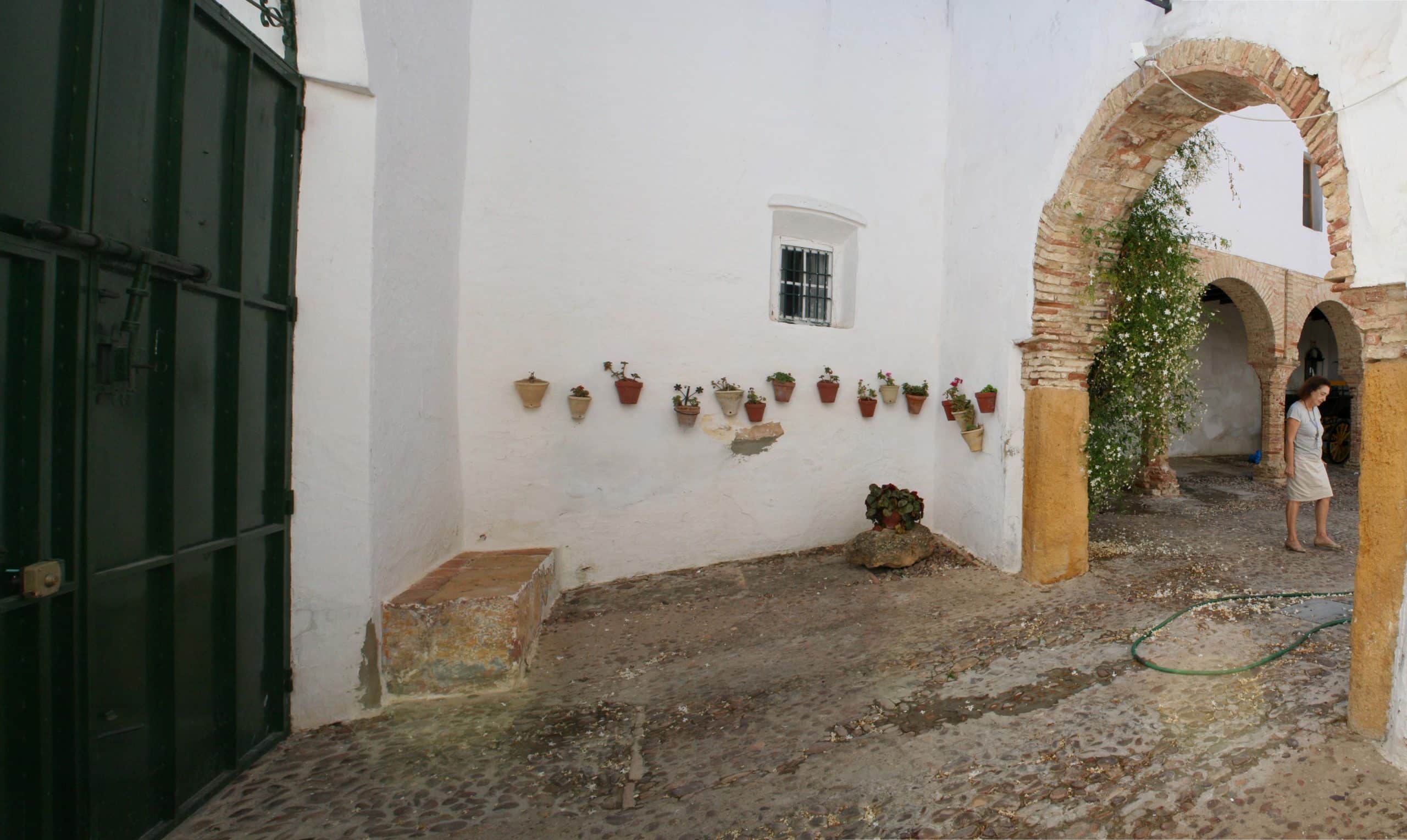 casa palacio Conde de Rodezno (15)