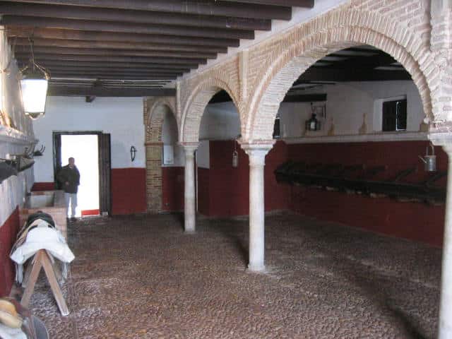 casa palacio Conde de Rodezno (27)