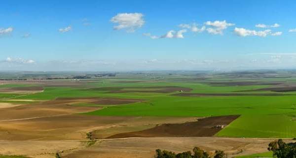Vega de Carmona