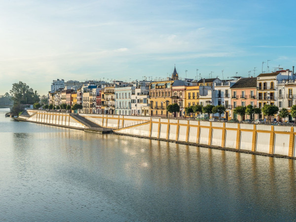 CALLE BETIS