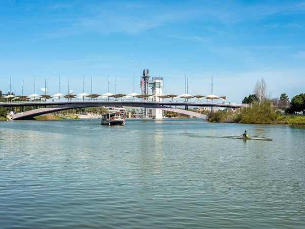 PUENTE DEL CACHORRO